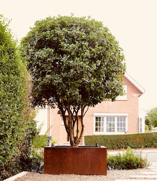 Jardinière en acier Corten ou de couleur Kubik Création